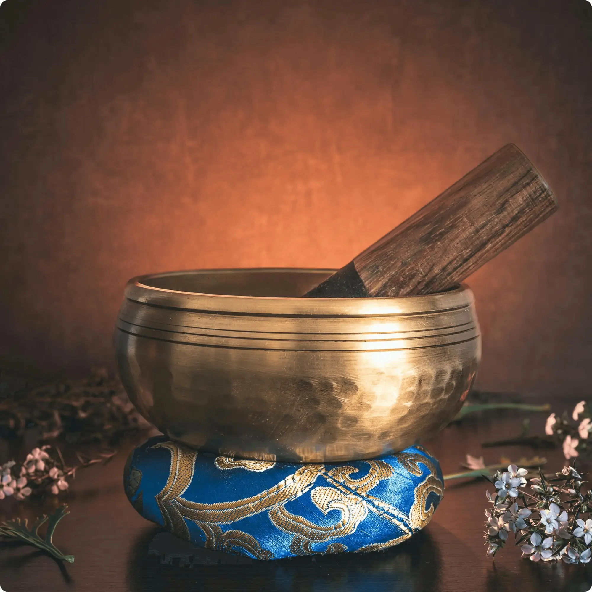 Wellness healing and longetivity experience within ERAYA Hospitality, image 3